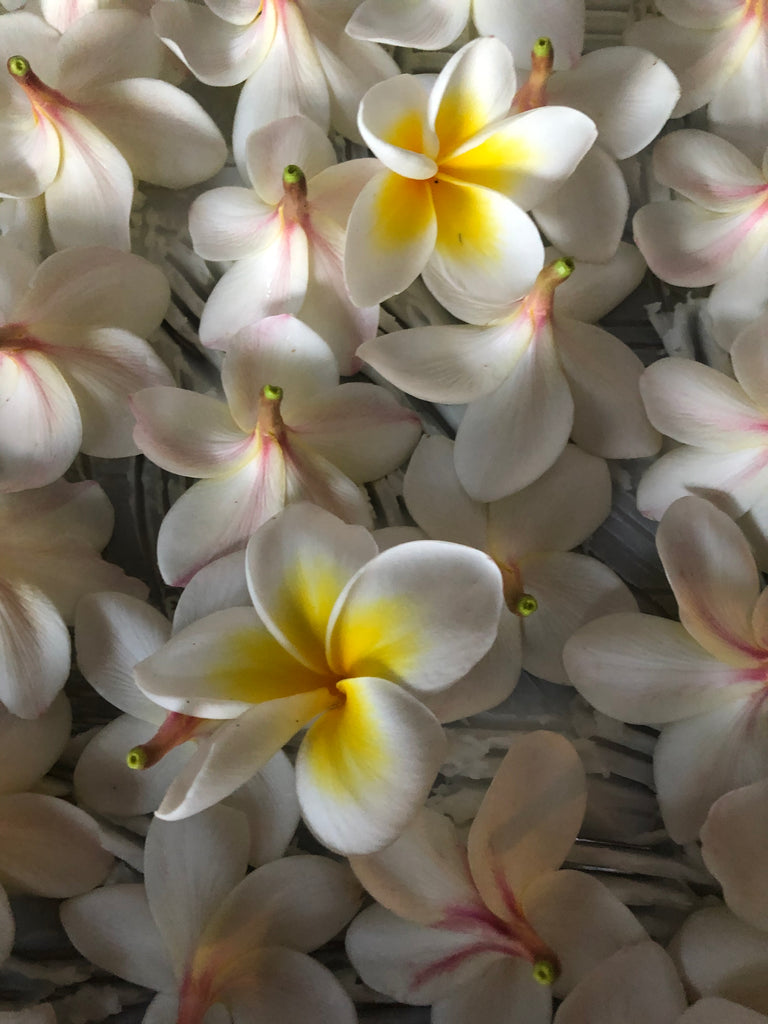 Frangipani Gloves with Enfleurage: Limited Edition for Spring 2022