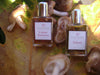 Art of Perfumery Masterclass #3: Chypre