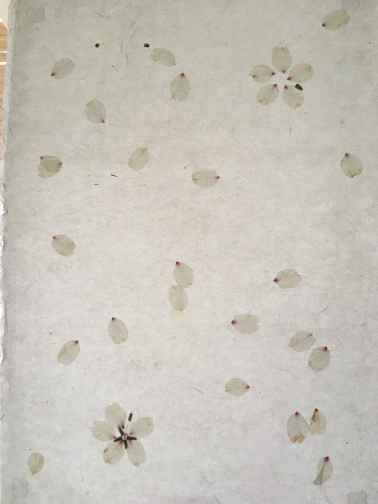 Almond Blossom Paper