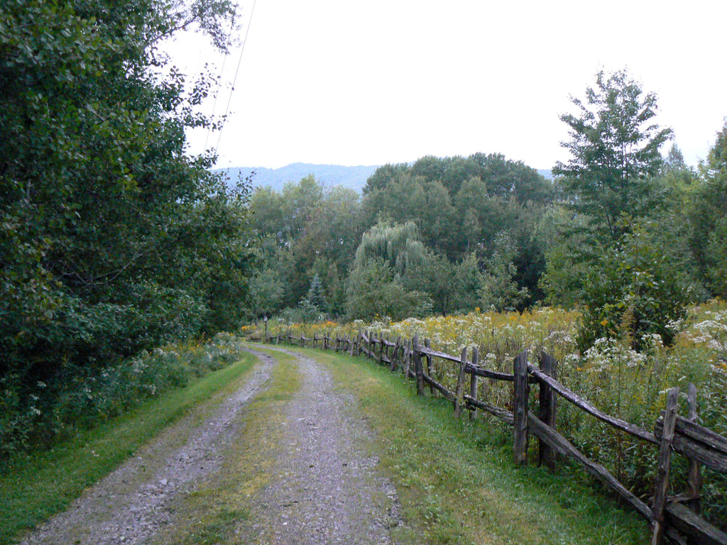 Eau de Campagne (Sisley)