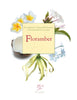 Art of Perfumery Masterclass #5: Floramber