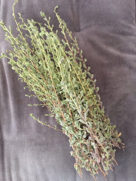 Varthemia Tincture