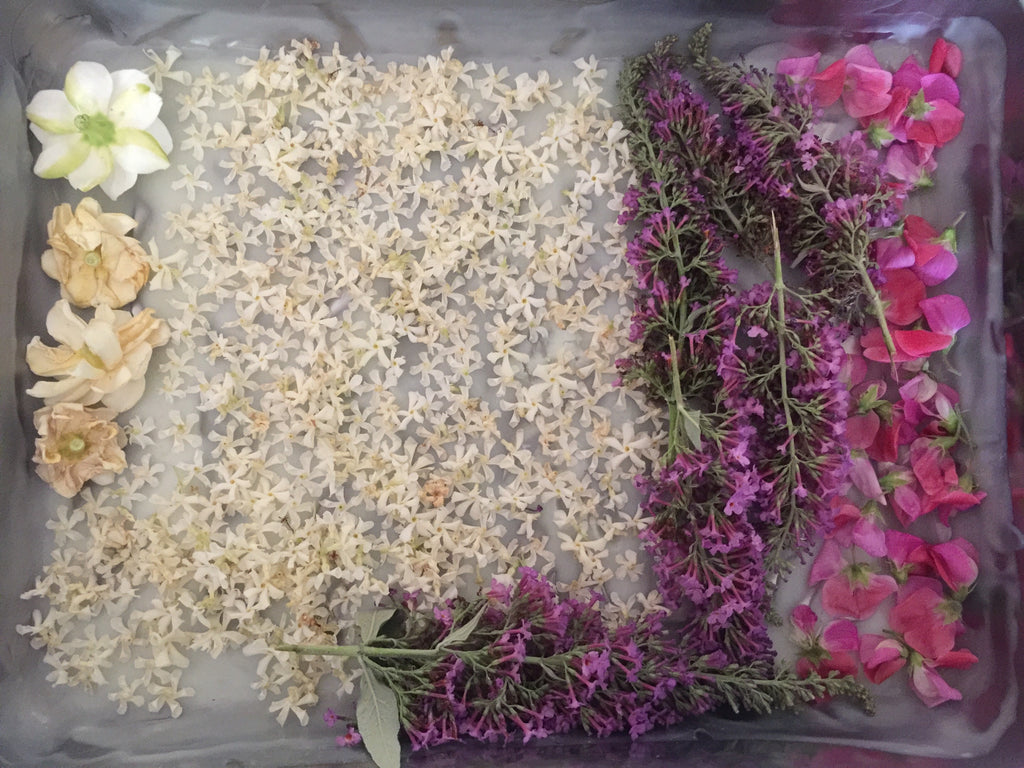 Enfleurage Online Course – Ayala Moriel Parfums